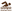 حمام سباحة
